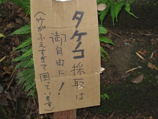 c0077338_2054141.jpg