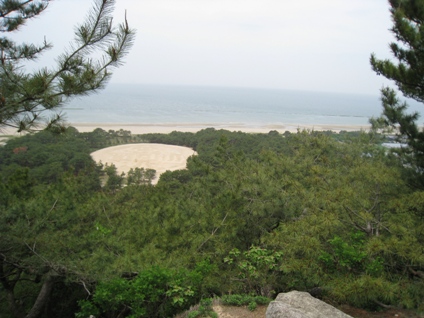 c0077338_2061985.jpg