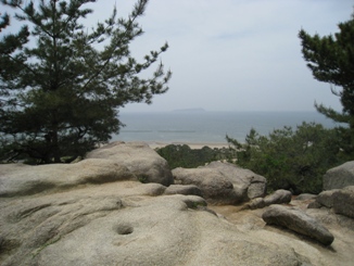 c0077338_2081330.jpg