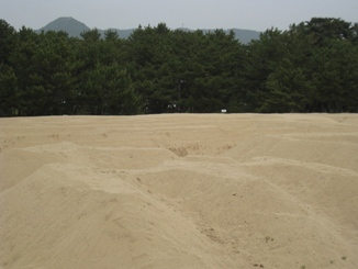 c0077338_2085329.jpg