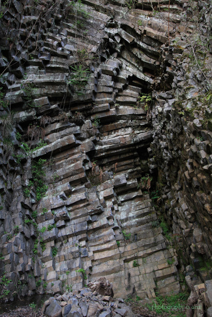 e0083238_20545450.jpg