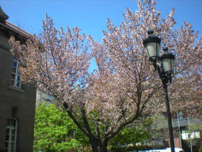 b0001440_11181098.jpg