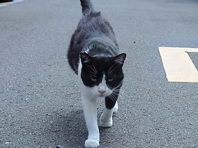 b0019140_14261841.jpg