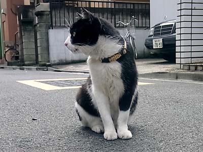 b0019140_14513811.jpg