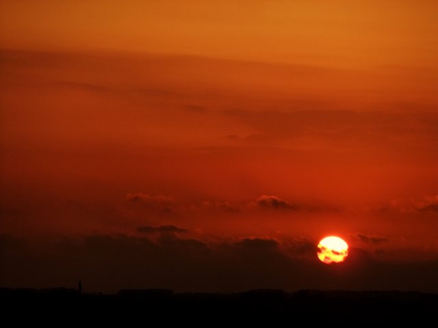 f0210340_4191785.jpg