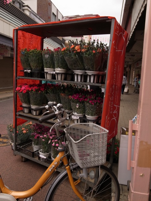 a0087341_042010.jpg