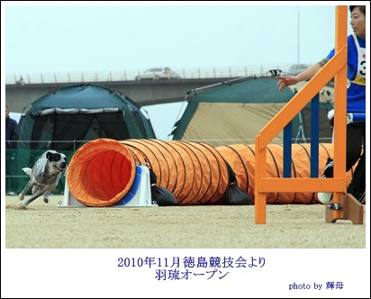 d0081541_21322629.jpg