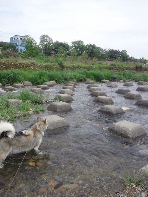 e0143442_15345028.jpg