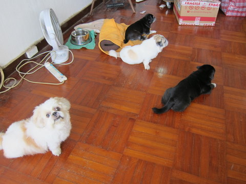 e0018143_20113765.jpg
