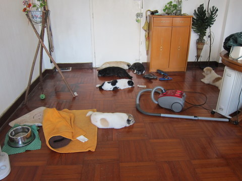 e0018143_20134174.jpg