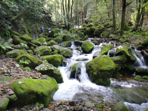 c0179351_19122075.jpg