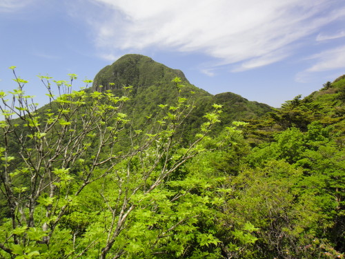 c0179351_19244739.jpg