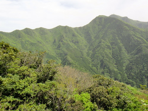 c0179351_19262656.jpg