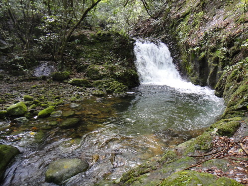 c0179351_1983623.jpg