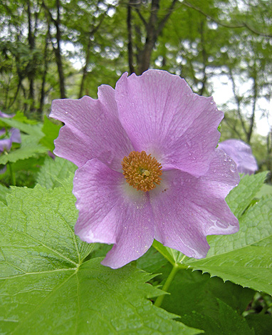 a0001354_2156190.jpg