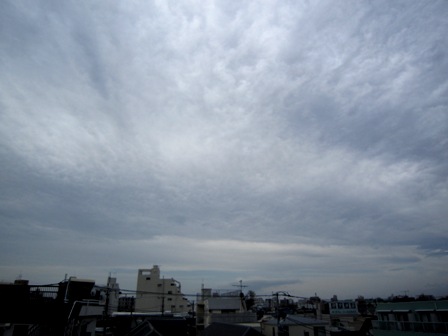 b0173754_1222441.jpg