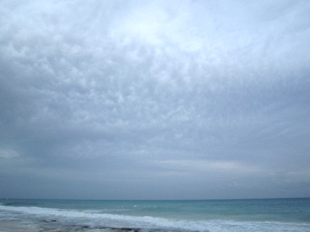 b0173754_12234769.jpg