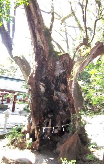 b0173754_1259311.jpg