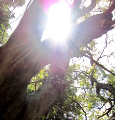b0173754_1351360.jpg