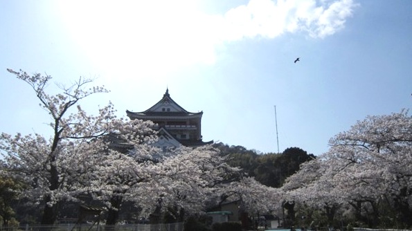 b0173754_1385659.jpg