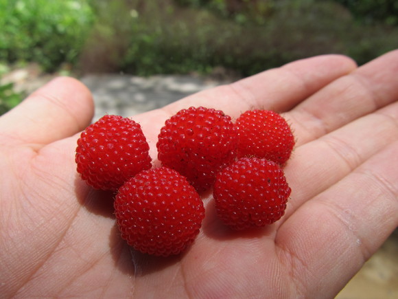 f0201157_13152270.jpg