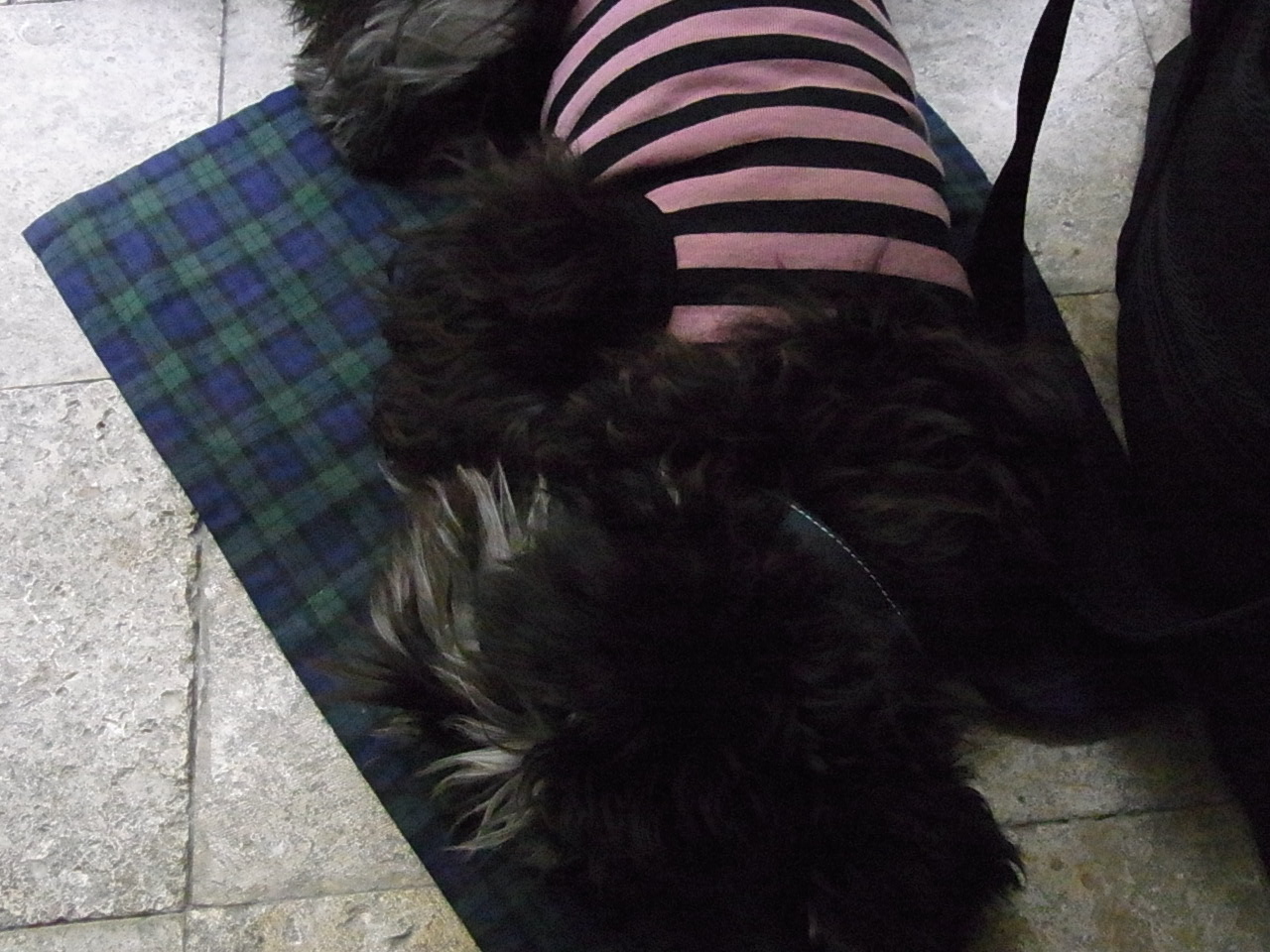 b0219358_0214736.jpg
