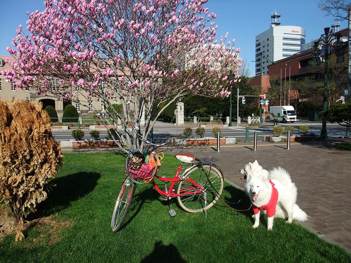 b0102267_022449.jpg