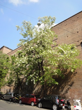 c0102268_2334116.jpg