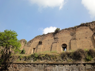 c0102268_23364730.jpg