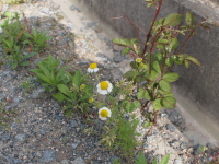 d0163670_23344679.jpg