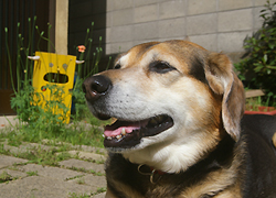 b0052471_22182012.jpg