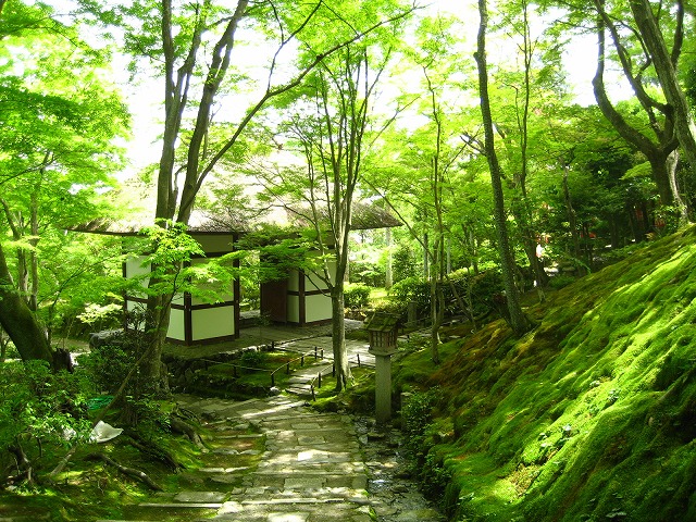 e0106372_203299.jpg