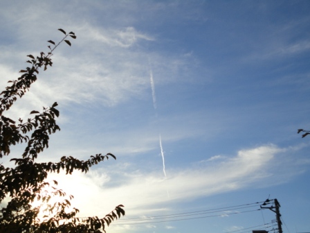 d0109373_133524100.jpg