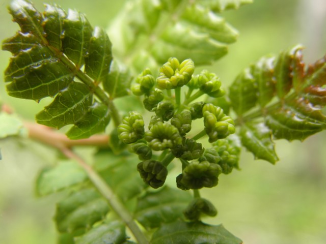 d0134473_17243249.jpg