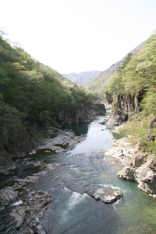 e0118274_21294412.jpg