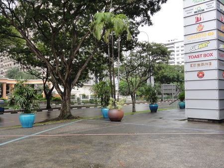 a0002177_16223957.jpg