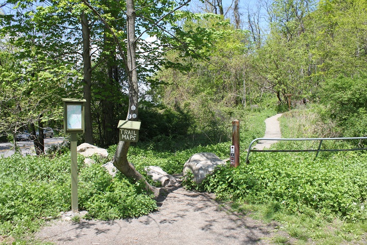 a0164088_231521.jpg