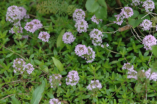 c0026690_23384911.jpg