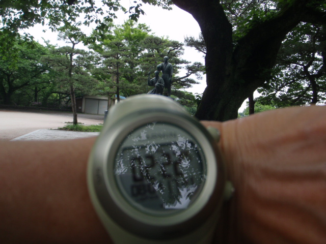 d0034291_172807.jpg