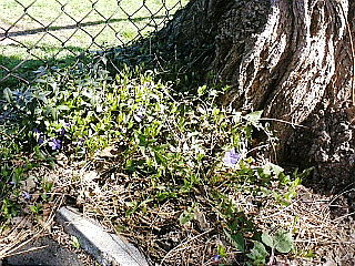 f0200795_1518811.jpg