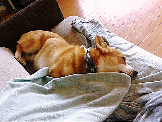 f0200795_15225068.jpg