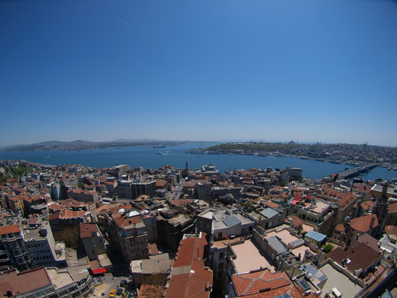 a0159697_11564963.jpg