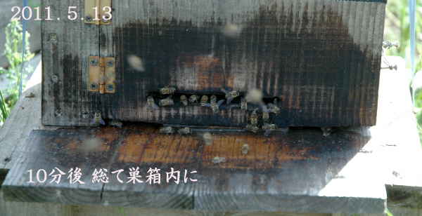 d0122497_16511315.jpg