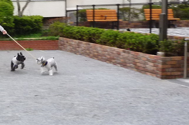 c0138198_2301421.jpg