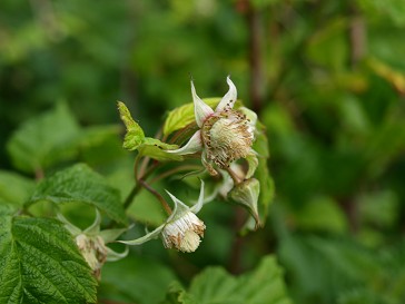 b0110999_2172450.jpg