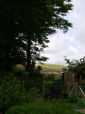 b0110999_2181454.jpg