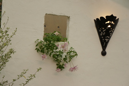 c0227800_1173646.jpg