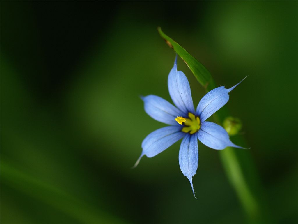 f0224100_2033334.jpg