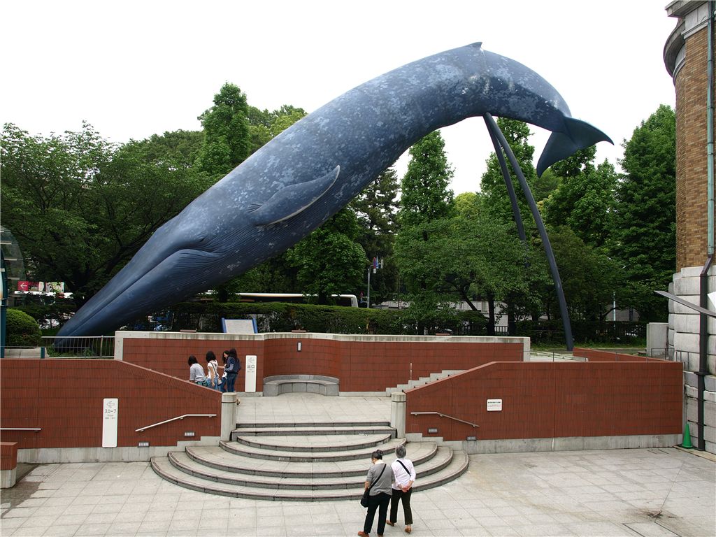 f0224100_6194838.jpg