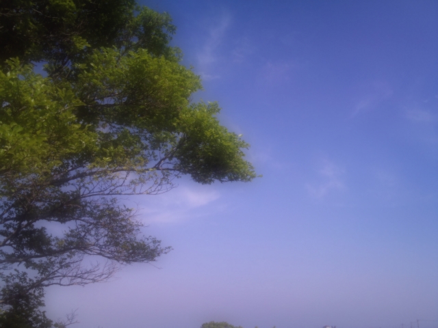 f0231904_2326620.jpg